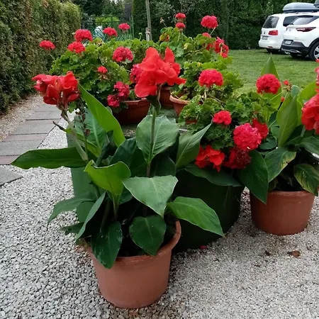דירה Mit Pool Direkt Am See, Ufergrundstueck Balatonmáriafürdő